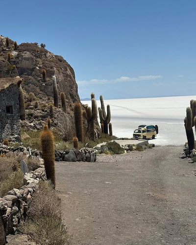 Volkswagen T3 Syncro : un tour du monde en famille dans un van aménagé sur-mesure
